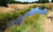 A Look Inside Our Watershed